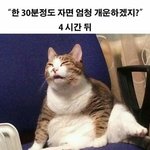 [추반] 너흰 <b>개학</b> 언제쯤 할거같아??