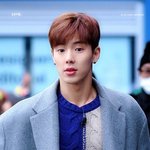 <b>셔누</b>