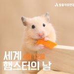 헐 진짜오늘 <b>햄스터</b>의 날이네