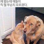[EXO] 그로들은