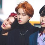 [NCT] 정우 <b>상체</b> 사진만 오지게 올라오던 그 날