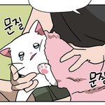 난 남돌 <b>팔때</b> ㅈㄴ 소년소년한거 좋아해서