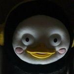 [댓글부탁해] 얘들아 유럽 동양인<b>혐오</b> 지금 엄청심하지?ㅜㅠ