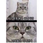 [19] 으왁 나도 <b>정해</b>인 같은 도깨비 만나거싶어