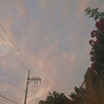 [드루와] [제 3회 네이트판배 사진 대회]