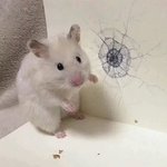 [댓글부탁해] <b>지박</b>소년 하나코 보는사람 잇냐