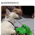 [드루와] 다들 들어와서 자기 학교 이름 <b>적구</b>가