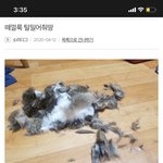 [19] <b>일베</b> 애들 쳐미쳤네;; 와..