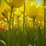 동심의 눈으로 찍은 세상들