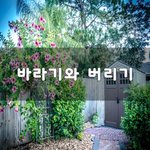 [힘이되줄게] 바라기와 버리기~