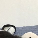 피부과 진료비 3만원 넘게 나와???