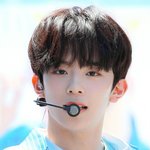 나 얼굴 <b>취향</b> 조카 소나무임
