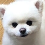 <b>울집</b> 막뚱이