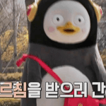 [댓글부탁해] 하찮은 <b>펭귄</b> 어깨