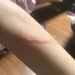 [ㅈㄱㄴ] 너네도 묘<b>기증</b> 있어???