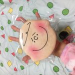 [ㅈㄱㄴ] 너무 아까워서 못 먹고 있어