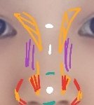 [댓글부탁해] 섀딩장인이 섀딩하는법..!!!