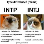 <b>intp</b> intj 너무 귀엽다