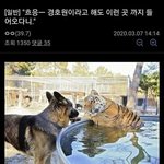 [댓글부탁해] 아 진짜 나 칭찬받고 싶어 칭찬 좀 해줭
