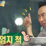 [MBTI] mbti별 반항하는 이유