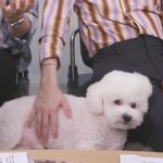 [EXO] 비비는 <b>진짜</b> <b>사람</b>같음ㅋㅋㅋㅋ