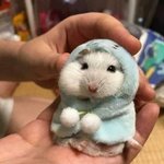 얘두라 <b>삐아</b> 컨실러 좋니