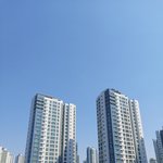 [댓글부탁해] 코로나<b>예언</b> 안믿는애들아