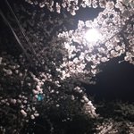 [ㅈㄱㄴ] 밖에 <b>산책</b>나옴
