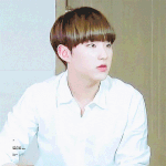 [세븐틴] 귀여운거 보고가