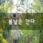 [꼭보세요] <b>봄날</b>은 간다~