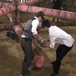 총체적<b>난국</b>