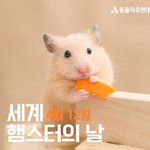 [드루와] 롱언니썰 요약