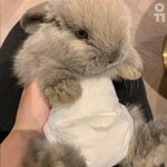 [댓글부탁해] 얘들아 결혼식에 <b>외가</b>친척 안부르면 좀 그럼?
