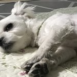 진<b>쟈</b> 너무하다 너네