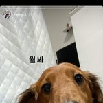 [비오브유] 200414 김국헌 인스타스토리 업로드