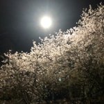 다이어트 자극좀 해줘
