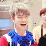 <b>츄</b>잉껌 때 최강귀요미는 천러였던 듯