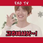 [EXO] <b>고추</b>ㅂㅏ사삭 맛있냐? 오랜만에 애들 쁘앱보는데