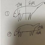 [댓글부탁해] 강아지 <b>상하</b>체ㅜ논란 추반