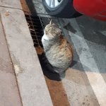 [NCT] <b>카카</b> 모음