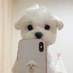 [드루와] ㅇㄴ 남초 옾챗방 ;;;