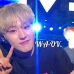 [세븐틴] 실물짤이나 <b>레어</b>짤 좀 주라