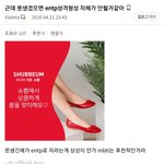 <b>ENTP</b> 디씨갤 글 (퍼옴)