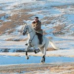 [드루와] 애들아 급긎ㅂ 라인 잘 아는 사람 있냐?