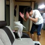 [19] 쌍수 막 찾아보는데