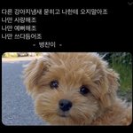 다른 강아지 냄새 묻히고 나한테 <b>오지</b> 말아죠