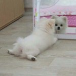 [추반] 온라인<b>수업</b><b>때</b> 화장 할거임?
