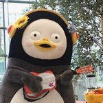 [드루와] 여기서 민주당 미통당 싸우는 애들