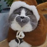 [TXT모아] 모아들아 안녕!