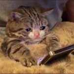 [댓글부탁해] 난 판 애들 좋아 <b>알러</b>뷰